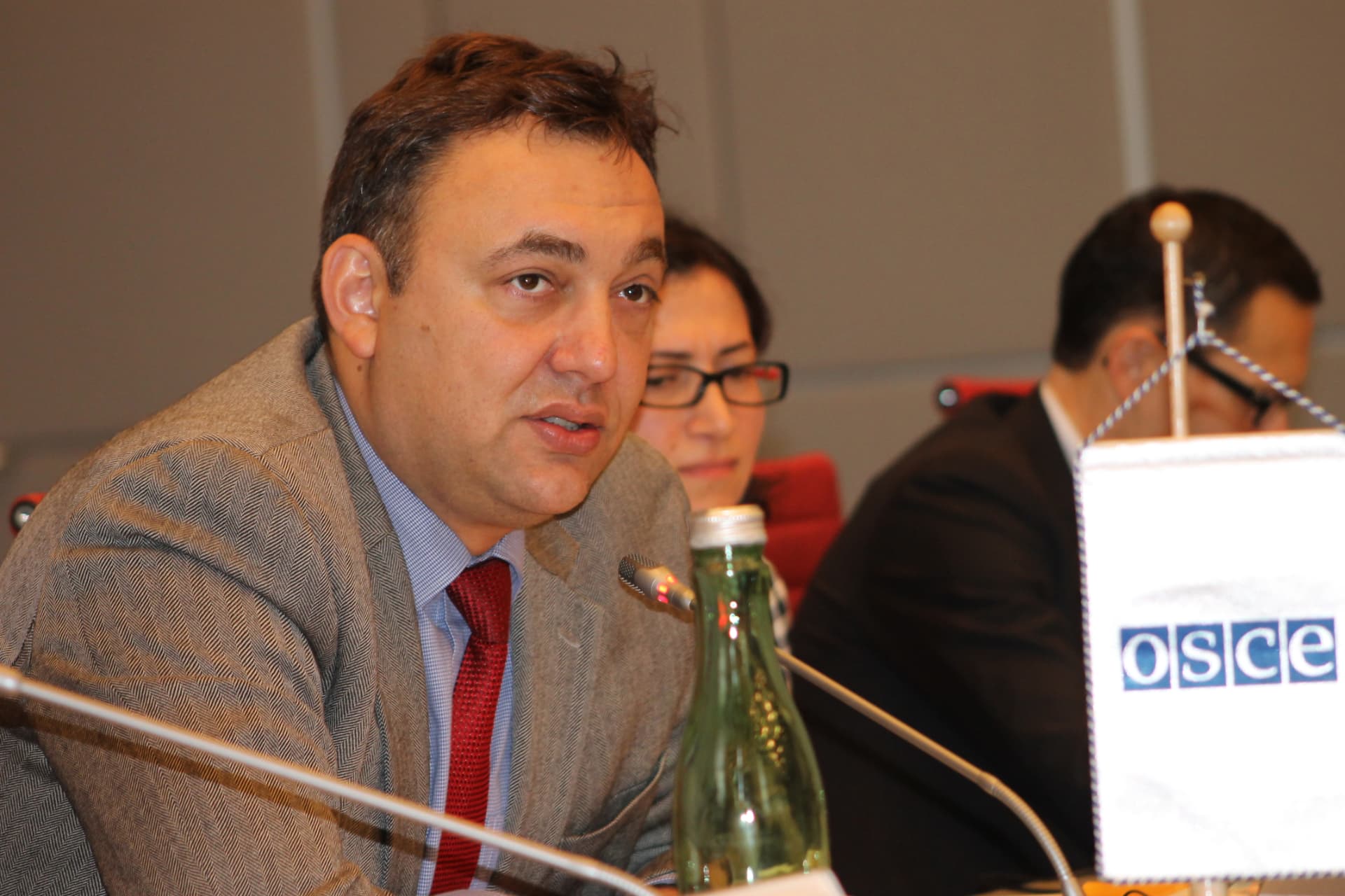Andrei Muntean making an intervention at an OSCE working session